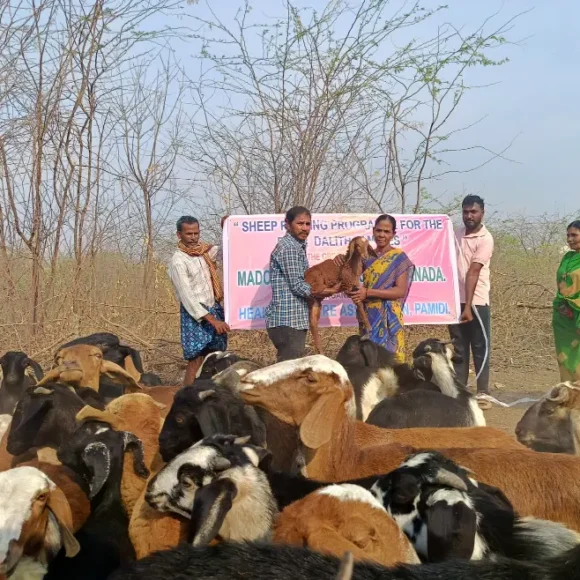 Health Welfare Association - Kadapa