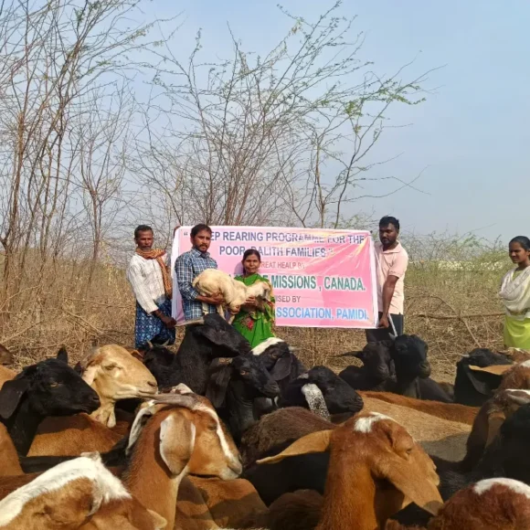 Health Welfare Association Kadapa