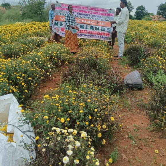 Organic Farming